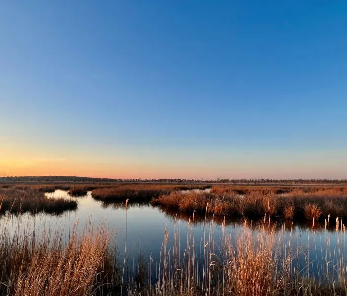 Marshlands at Sunset on Maryland’s Eastern Shore