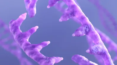 Gene editing